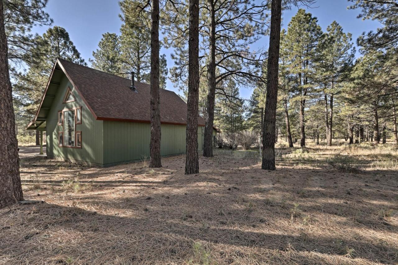 Family-Friendly Forested Home With Snow Play Area! Flagstaff Zewnętrze zdjęcie